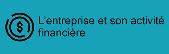 L'entreprise et son activité financière